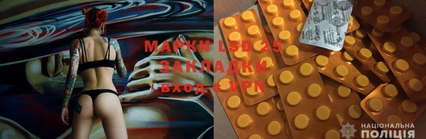 эйфоретик Богданович
