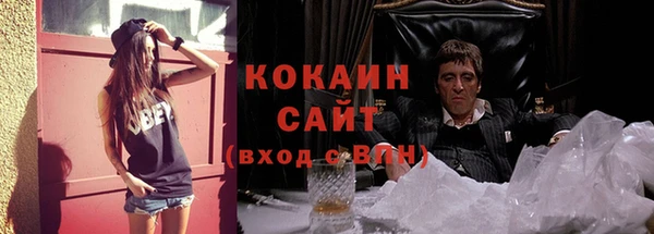 эйфоретик Богданович