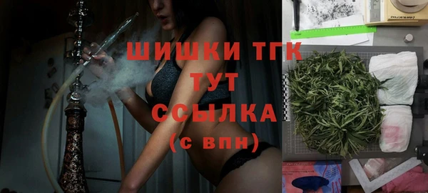 эйфоретик Богданович