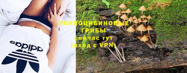 эйфоретик Богданович