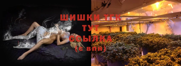 эйфоретик Богданович