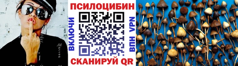 Купить закладки  Наро-Фоминск  Галлюциногенные грибы GOLDEN TEACHER 